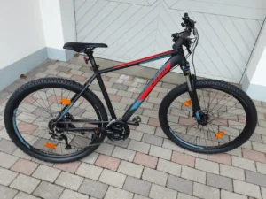 neues 29 Zoll MTB