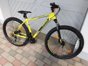 neue 29 Zoll MTB