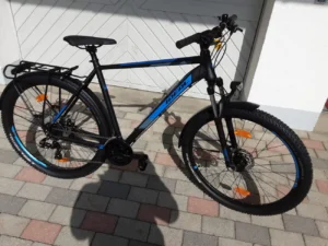 neues 29 Zoll MTB