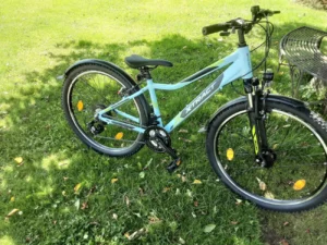 neues 26 Zoll MTB